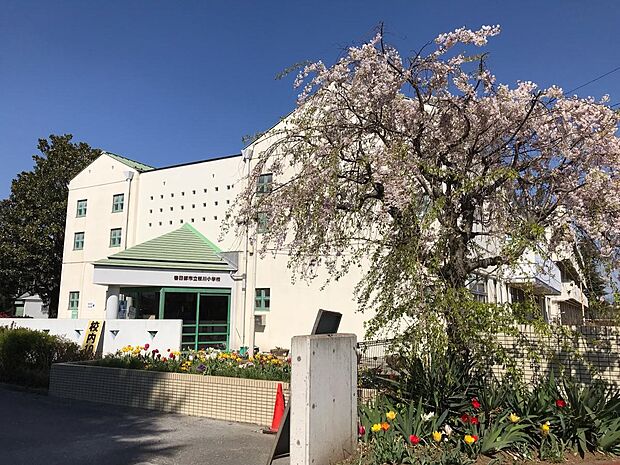 周辺環境-小学校(350m)春日部市立桜川小学校