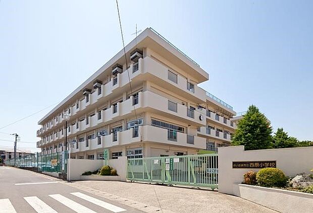 周辺環境-小学校(1580m)さいたま市立西原小学校