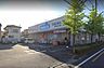 周辺：周辺環境-ドラッグストア(300m)ウエルシア越谷東大沢店
