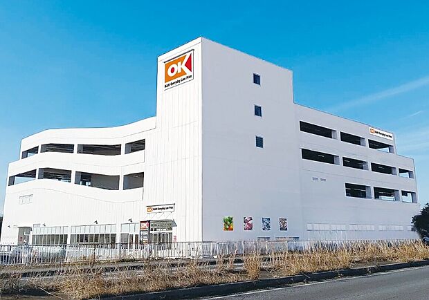 周辺環境-スーパー(1100m)オーケー越谷大泊店