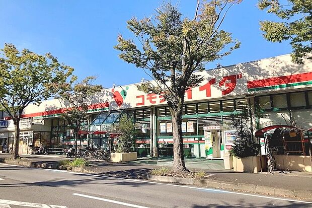 周辺環境-スーパー(494m)コモディイイダ 新松戸店
