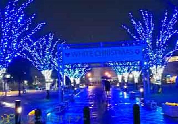 周辺環境-公園(800m)におどり公園