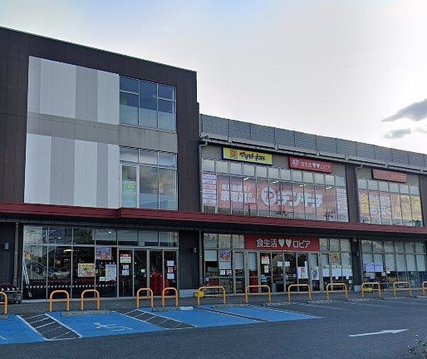 周辺環境-スーパー(1600m)ロピア アクロスプラザ流山店