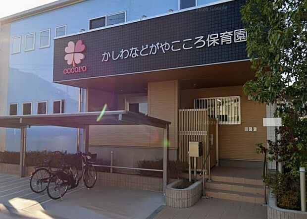 周辺環境-幼稚園・保育園(600m)かしわなどがやこころ保育園