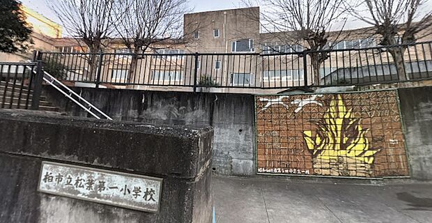 周辺環境-小学校(428m)柏市立松葉第一小学校