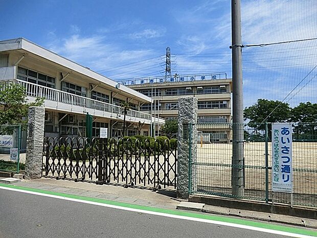 周辺環境-小学校(1000m)新和小学校(新和小学校(私たち新和小には、もちのきというシンボルの木が存在します。永い永い間、もちのきは新和小の生徒たちを見守り続けてきました。そのもちのきのような根のは