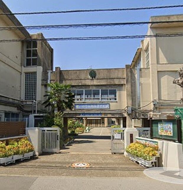 周辺環境-小学校(250m)柏市立高柳小学校