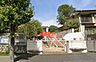 周辺：周辺環境-幼稚園・保育園(230m)さくら保育園