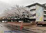 周辺：周辺環境-小学校(800m)越谷市立出羽小学校