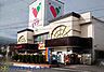 周辺：周辺環境-スーパー(500m)コモディイイダ 三郷店