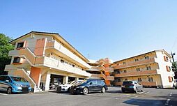 アイビス小絹 B