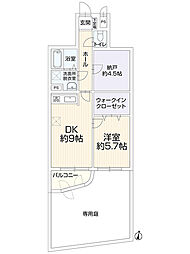 セザール円山公園 1SDKの間取図画像