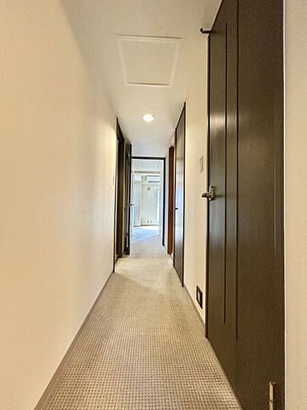 【リフォーム中 廊下】