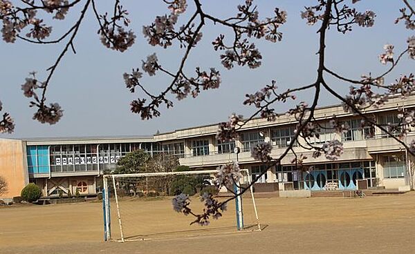 生鮮市場TOP　龍ヶ崎サプラ店 【周辺環境】松葉小学校180ｍ 550m