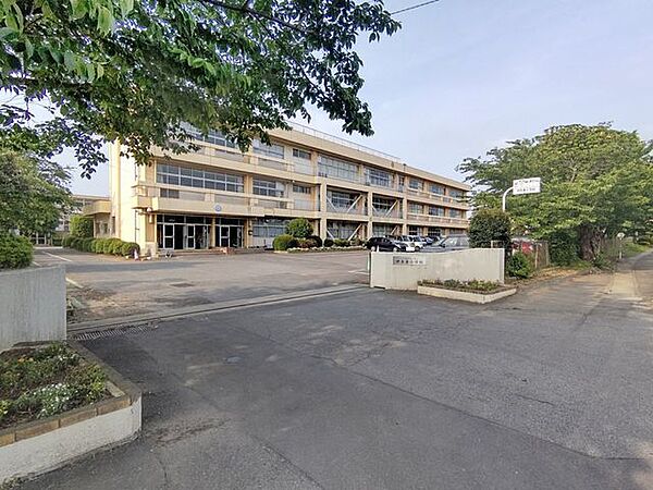 カスミ　みらい平駅前店 【周辺環境】小学校まで2.1ｋｍ。 3000m