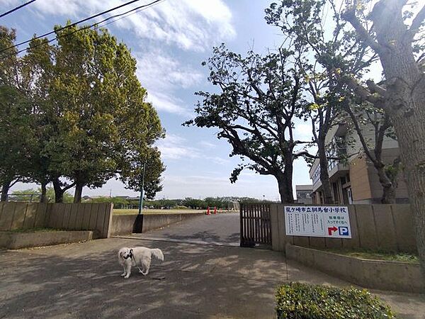 ファミマ龍ヶ崎平台店 馴柴台小学校まで300ｍ 950m