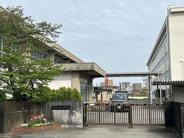 西橋内中学校 1330m