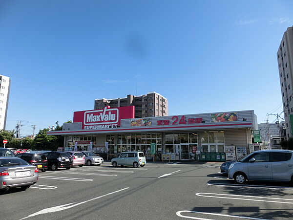 マックスバリュ 浜松助信店（658m）