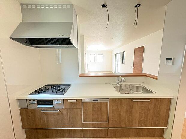 【2025年7月撮影】