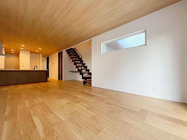 【2025年11月撮影】