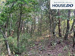 滋賀県甲賀市土山町野上野