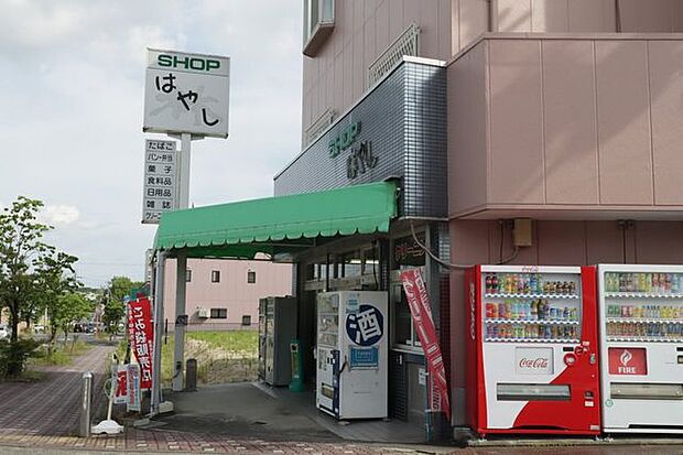 ショップはやし 290m