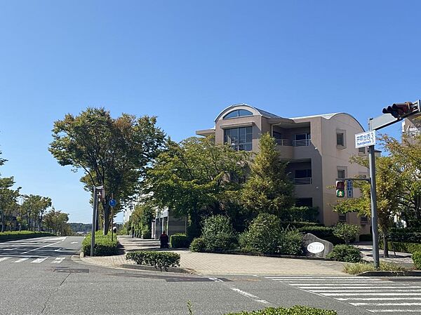 外観：328000618482