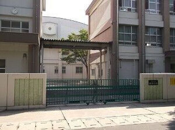 楠中学校 1500m