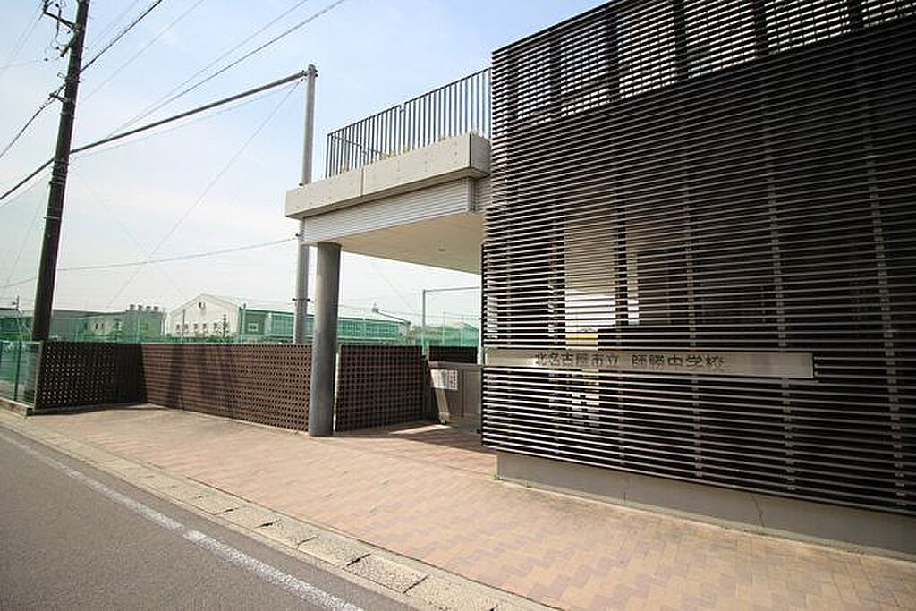 Image 7