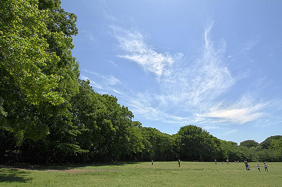 都立砧公園（約...