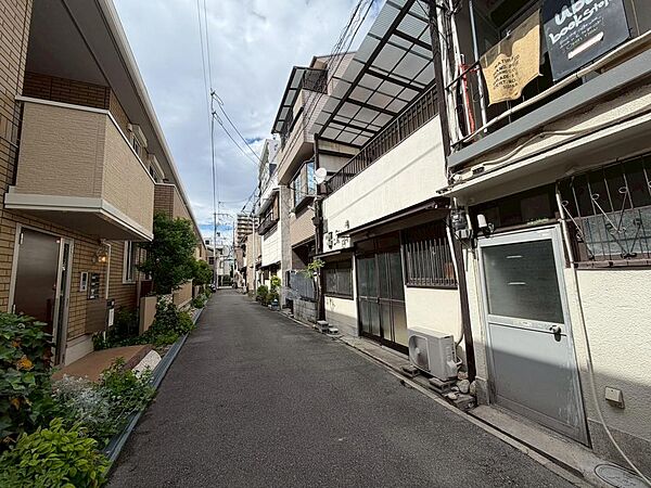 2026年5月撮影