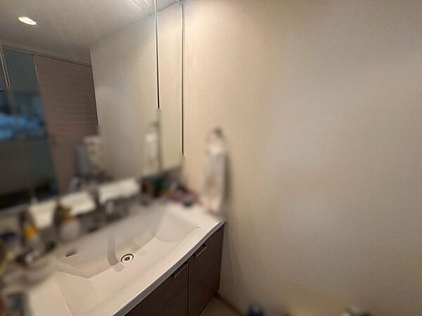 広い洗面所の三面鏡で、朝の身支度もスムーズです。清潔感のある洗面所で毎日の身支度が快適に過ごせます。
