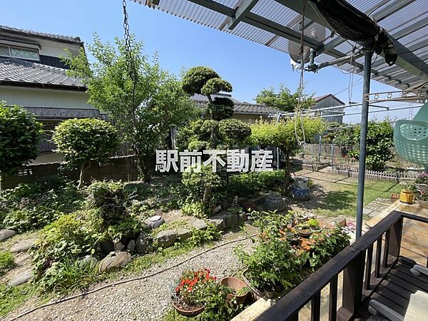 庭