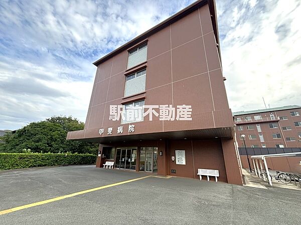 甲斐病院