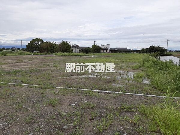 外観：340000238692