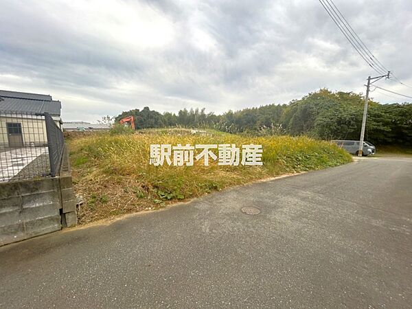 外観：340000259061