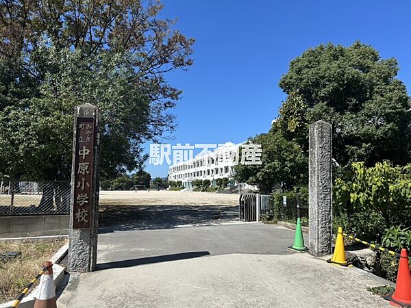 中原小学校