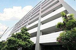 セザール平野 3階部分