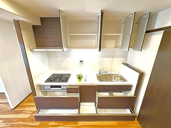 キッチン：食器洗浄乾燥機付きで毎日の家事の時間を短縮することでき、プライベート時間やご家族との時間をより一層充実させることができます♪