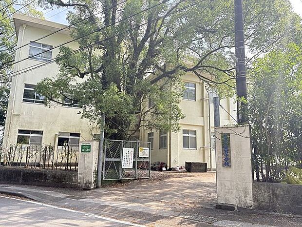 大宮中学校 740m