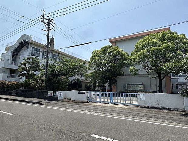 潮見小学校 990m