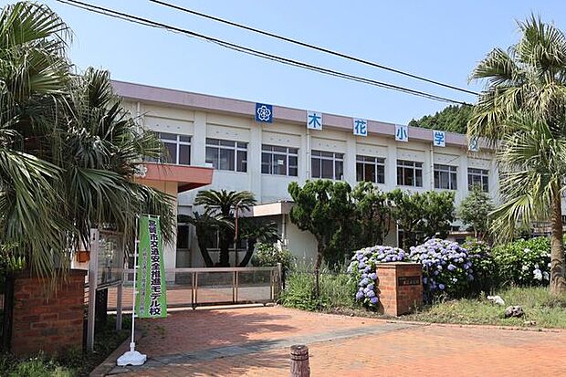 木花小学校 600m