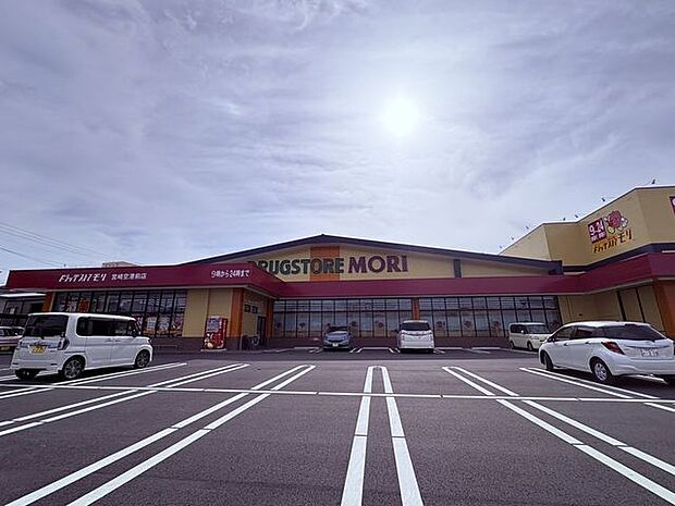 ドラッグストアモリ 宮崎空港前店 860m