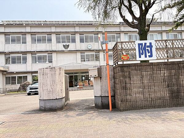 宮崎大学教育学部附属中学校 1370m