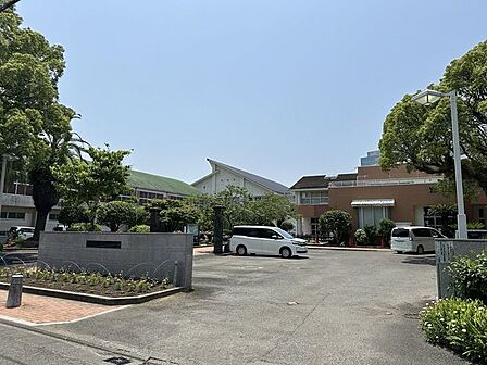 宮崎小学校 770m
