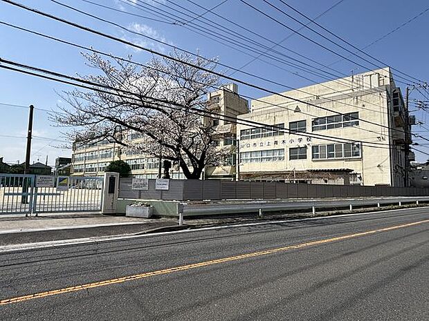川口市立上青木小学校 270m