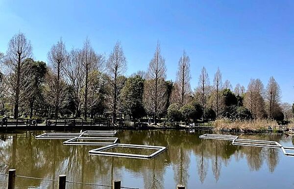 川口自然公園 1090m