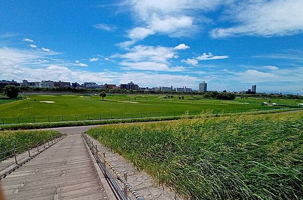 荒川運動公園桜堤 260m