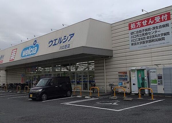 ウエルシア川口芝店 300m
