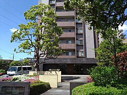 コスモシティ鳩ヶ谷駅前